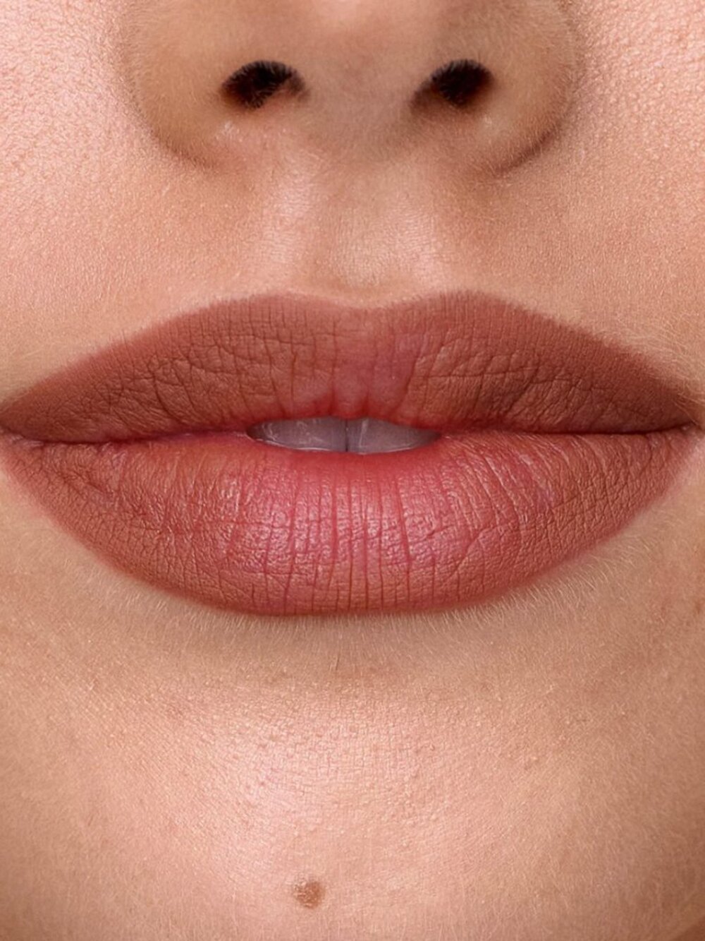 NWT. SWEED Lip Liner, ROSE THORN